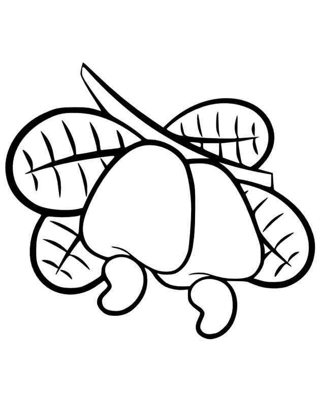 Cashew Ausmalbilder 104