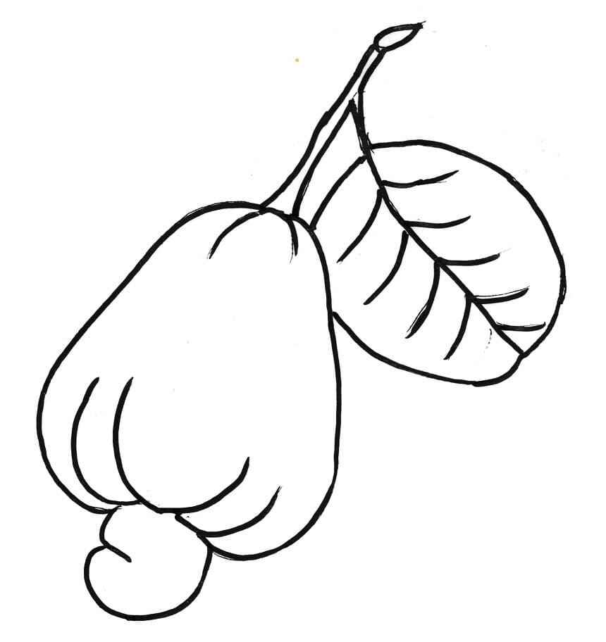 Cashew Ausmalbilder 547