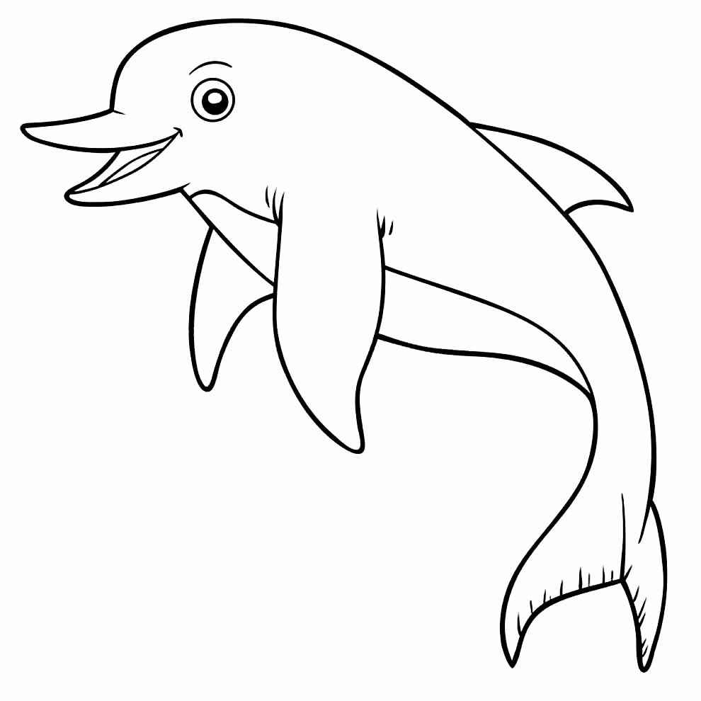 Delfine Ausmalbilder 486