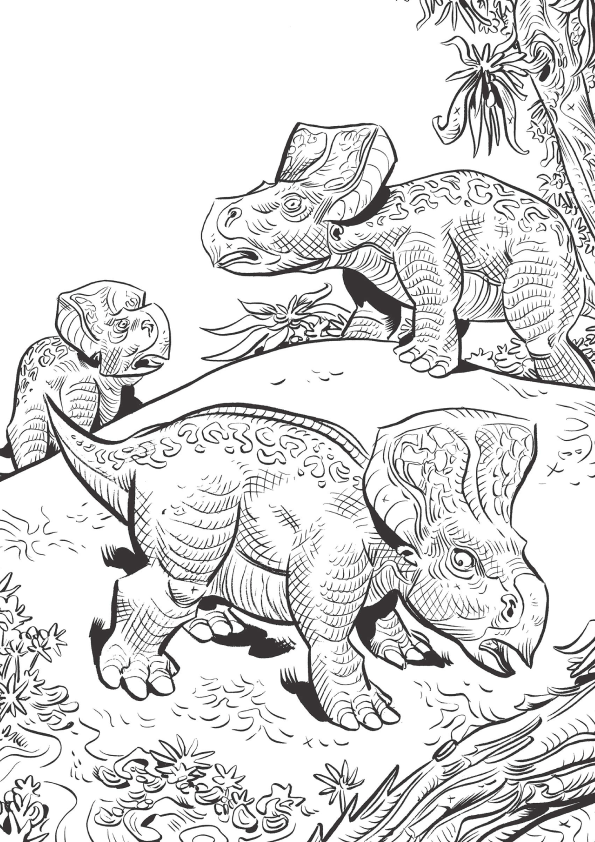 Dinosaurier Ausmalbilder 409