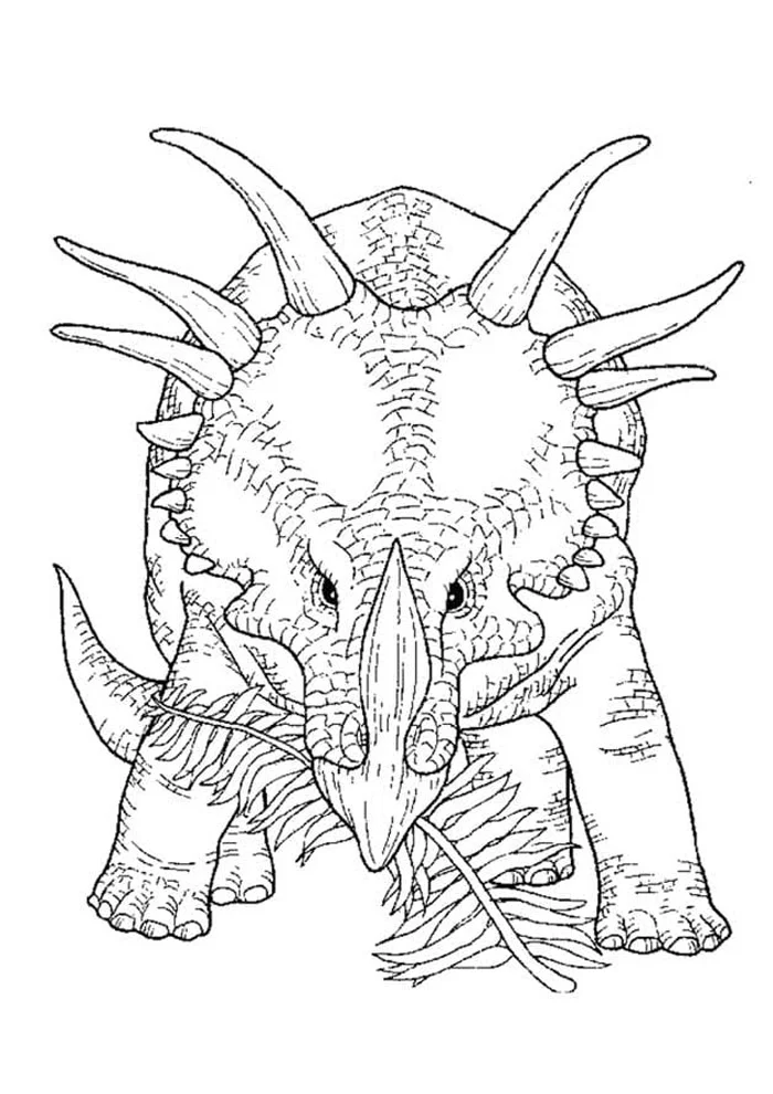 Dinosaurier Ausmalbilder 936