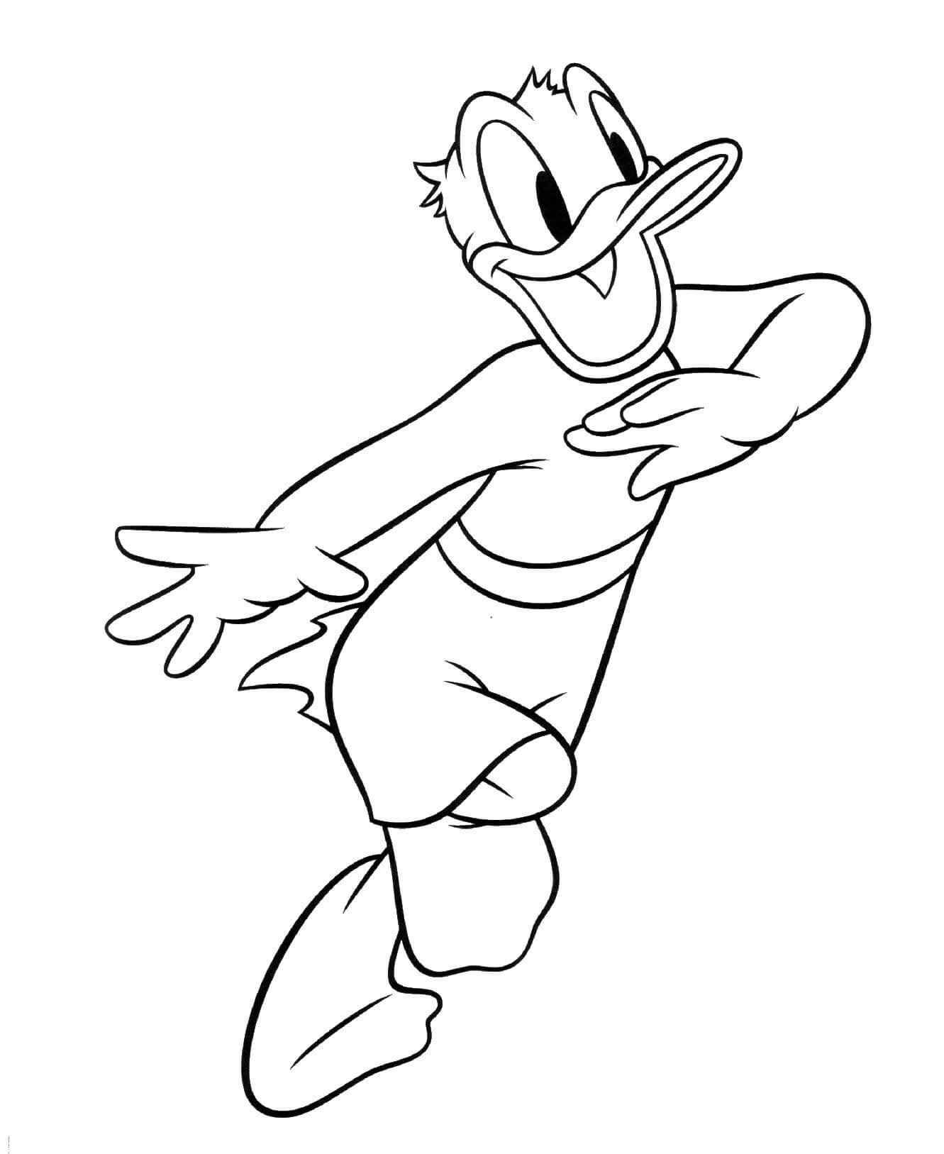 Donald Duck Ausmalbilder 155