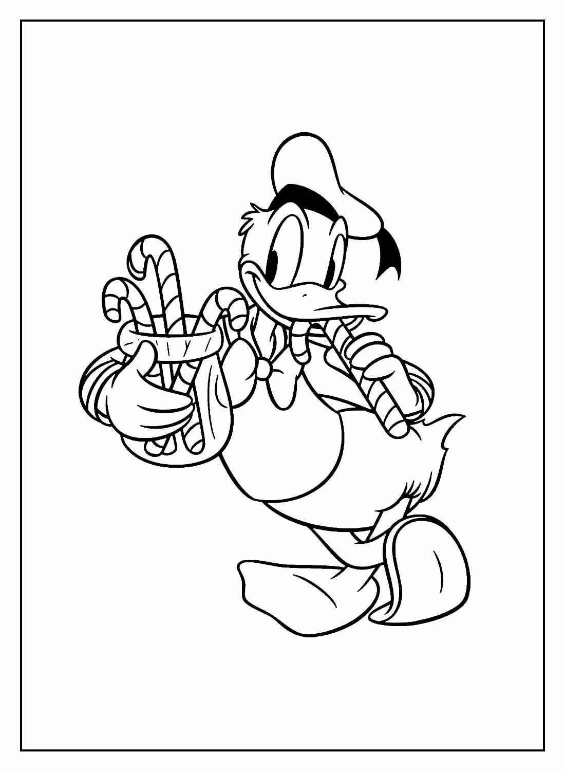 Donald Duck Ausmalbilder 173