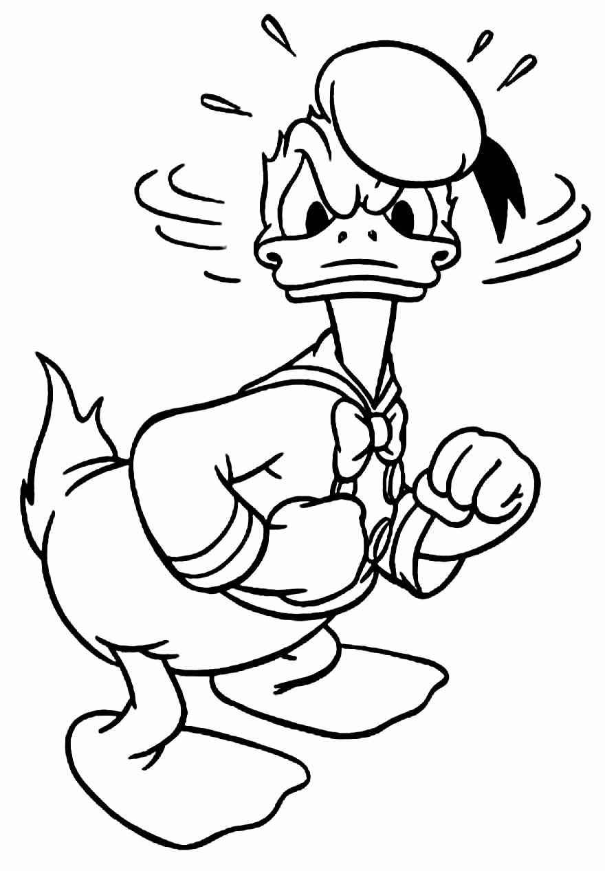 Donald Duck Ausmalbilder 296