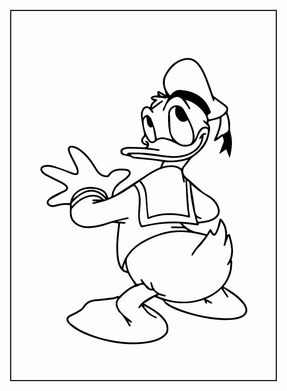 Donald Duck Ausmalbilder 327