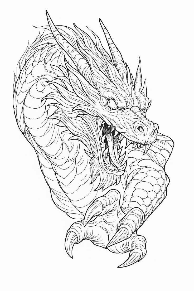 Drache Ausmalbilder 480