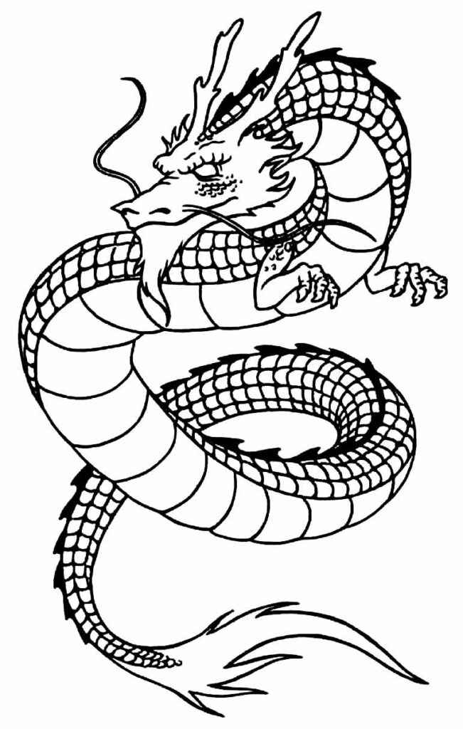 Drache Ausmalbilder 699