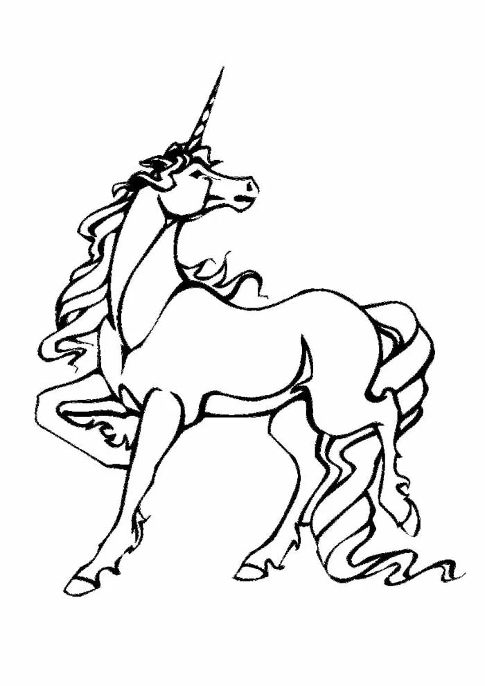 Einhorn Ausmalbilder 296