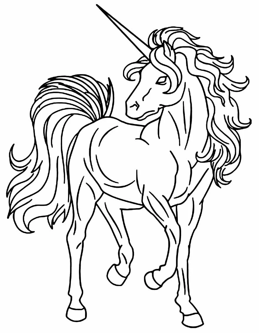 Einhorn Ausmalbilder 540