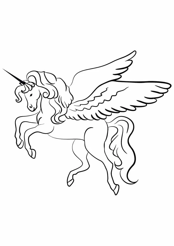 Einhorn Ausmalbilder 773