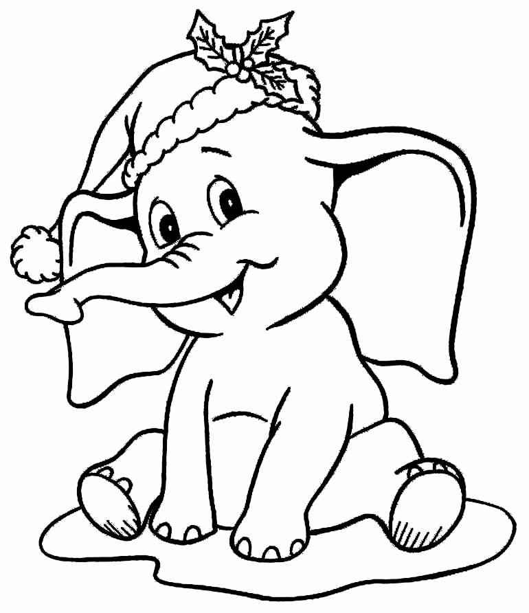 Elefanten Ausmalbilder 789