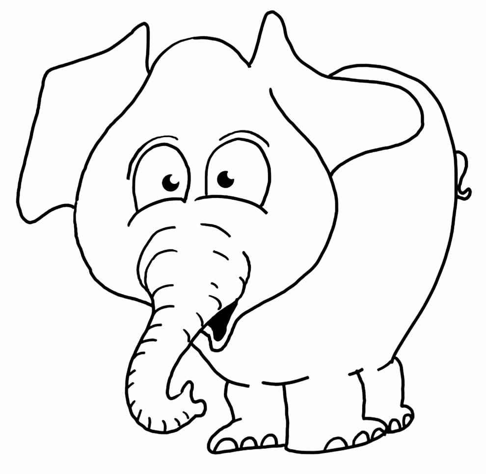 Elefanten Ausmalbilder 831