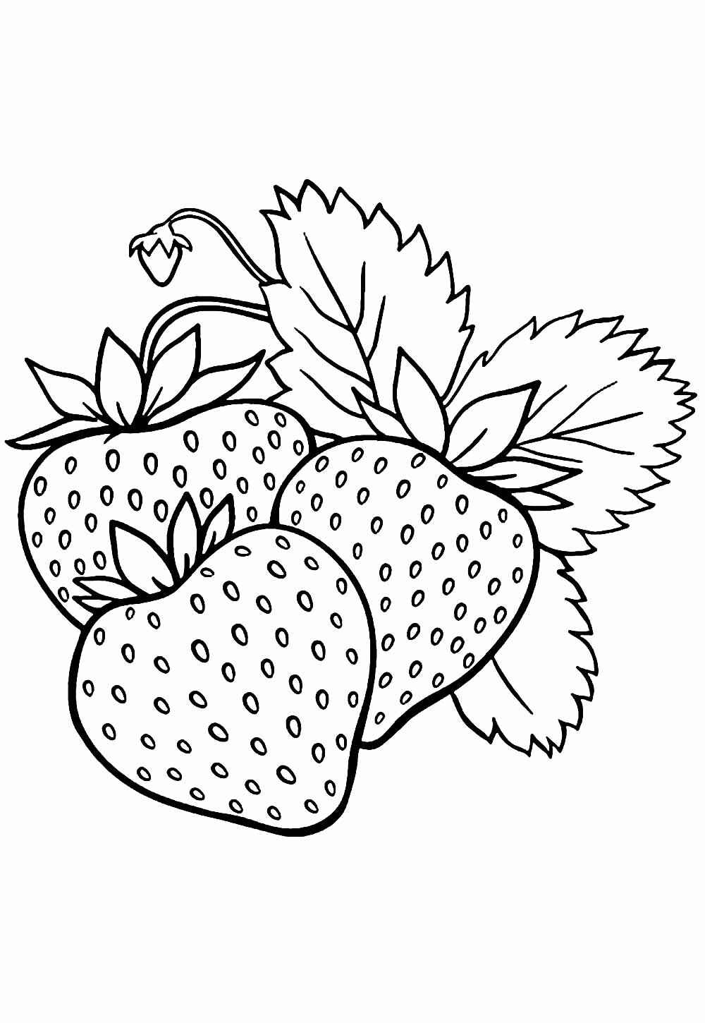 Erdbeeren Ausmalbilder 216