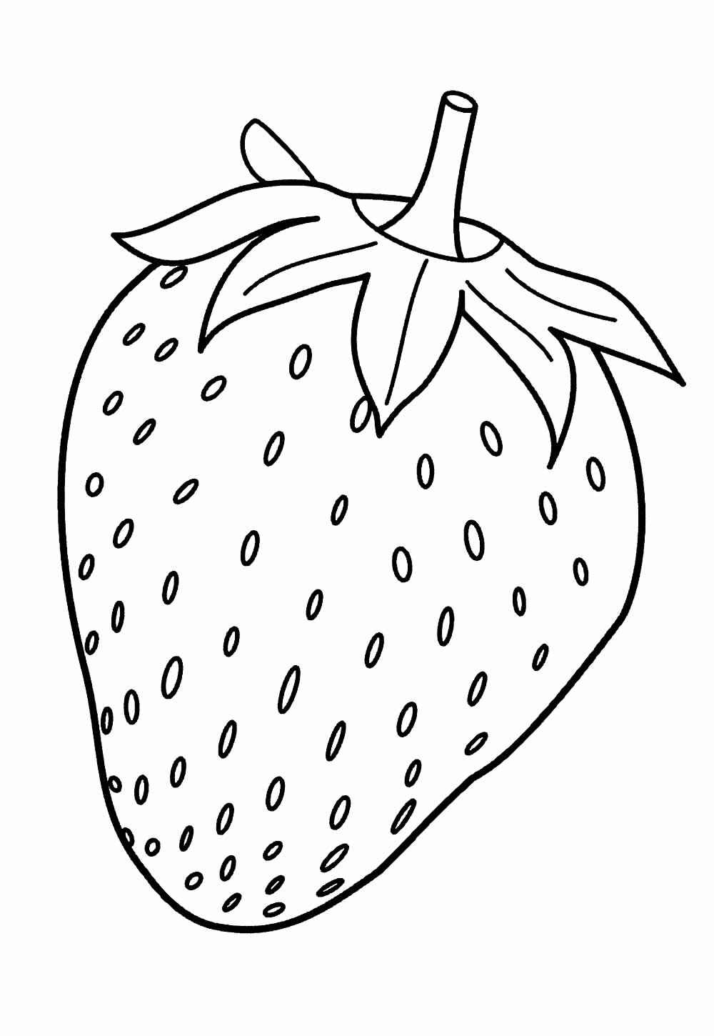 Erdbeeren Ausmalbilder 435