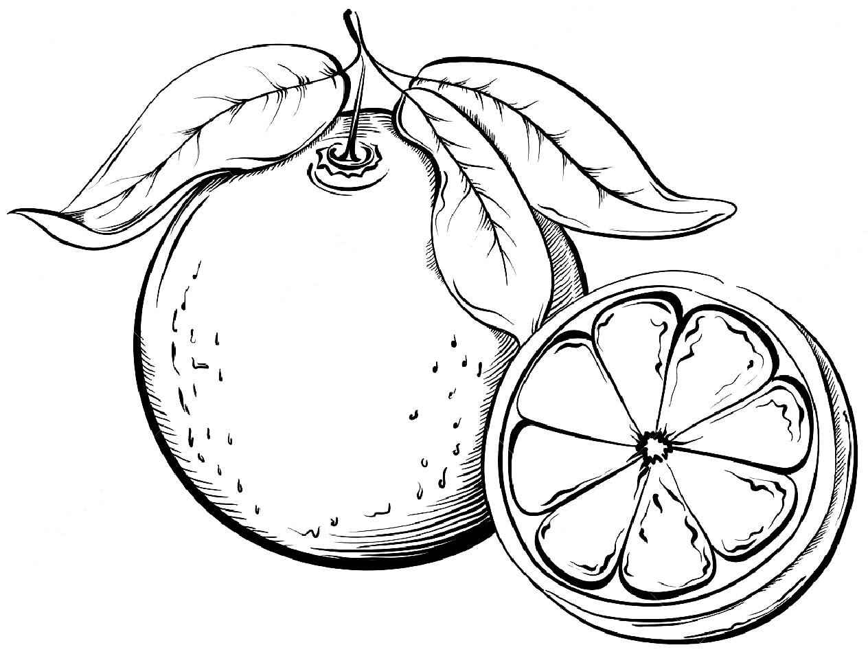 Essen Ausmalbilder 193