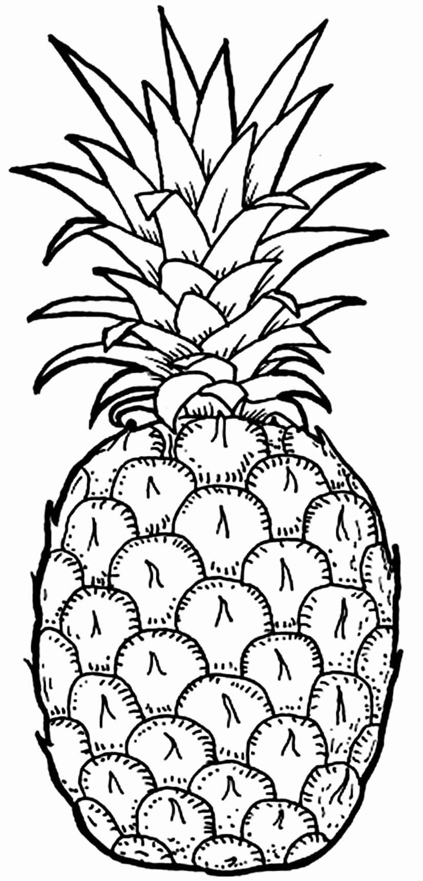 Essen Ausmalbilder 725