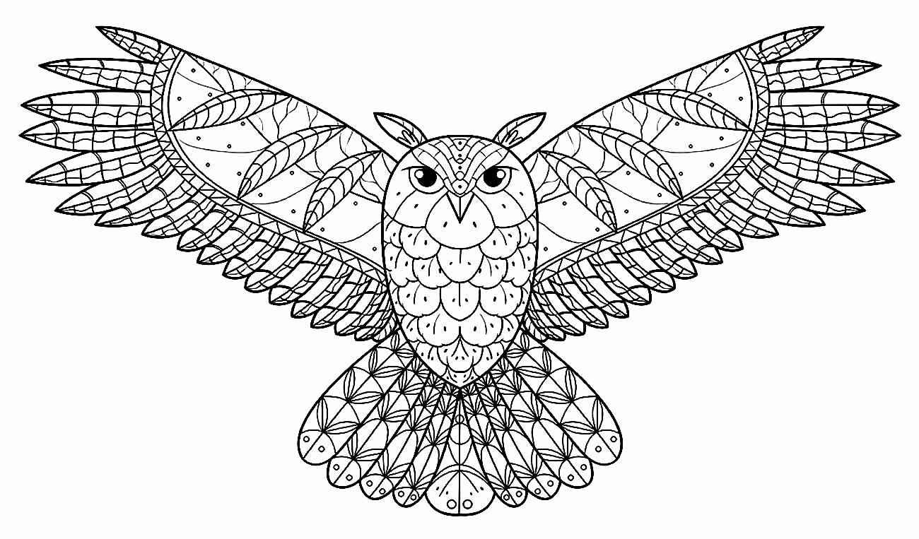 Eulen Ausmalbilder 111