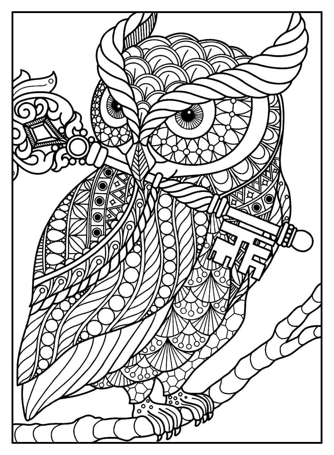 Eulen Ausmalbilder 120