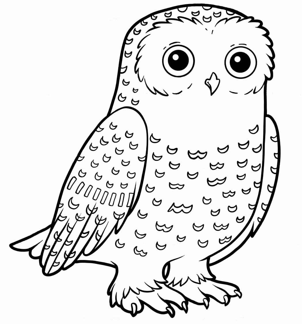 Eulen Ausmalbilder 124
