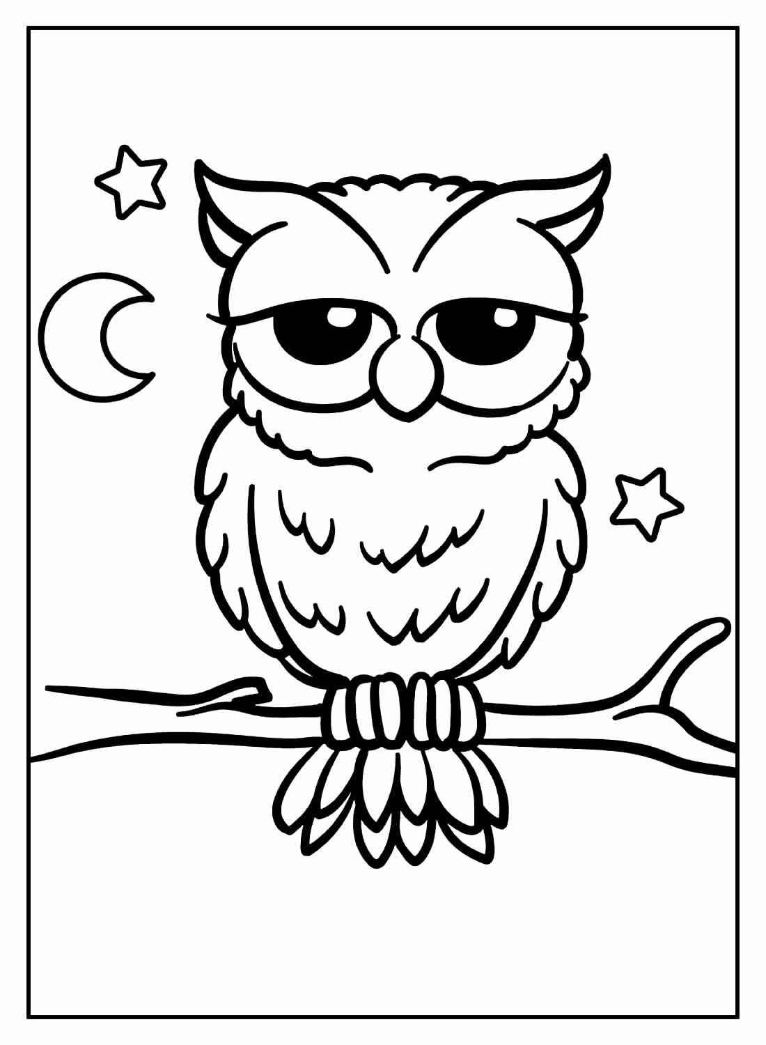Eulen Ausmalbilder 252