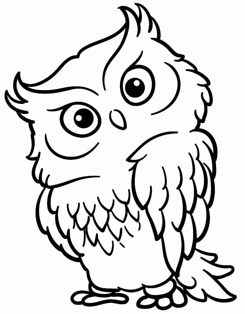 Eulen Ausmalbilder 368