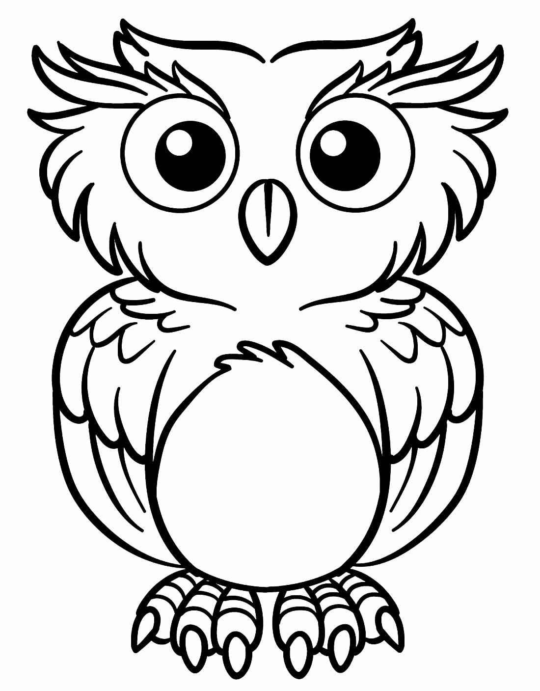 Eulen Ausmalbilder 523