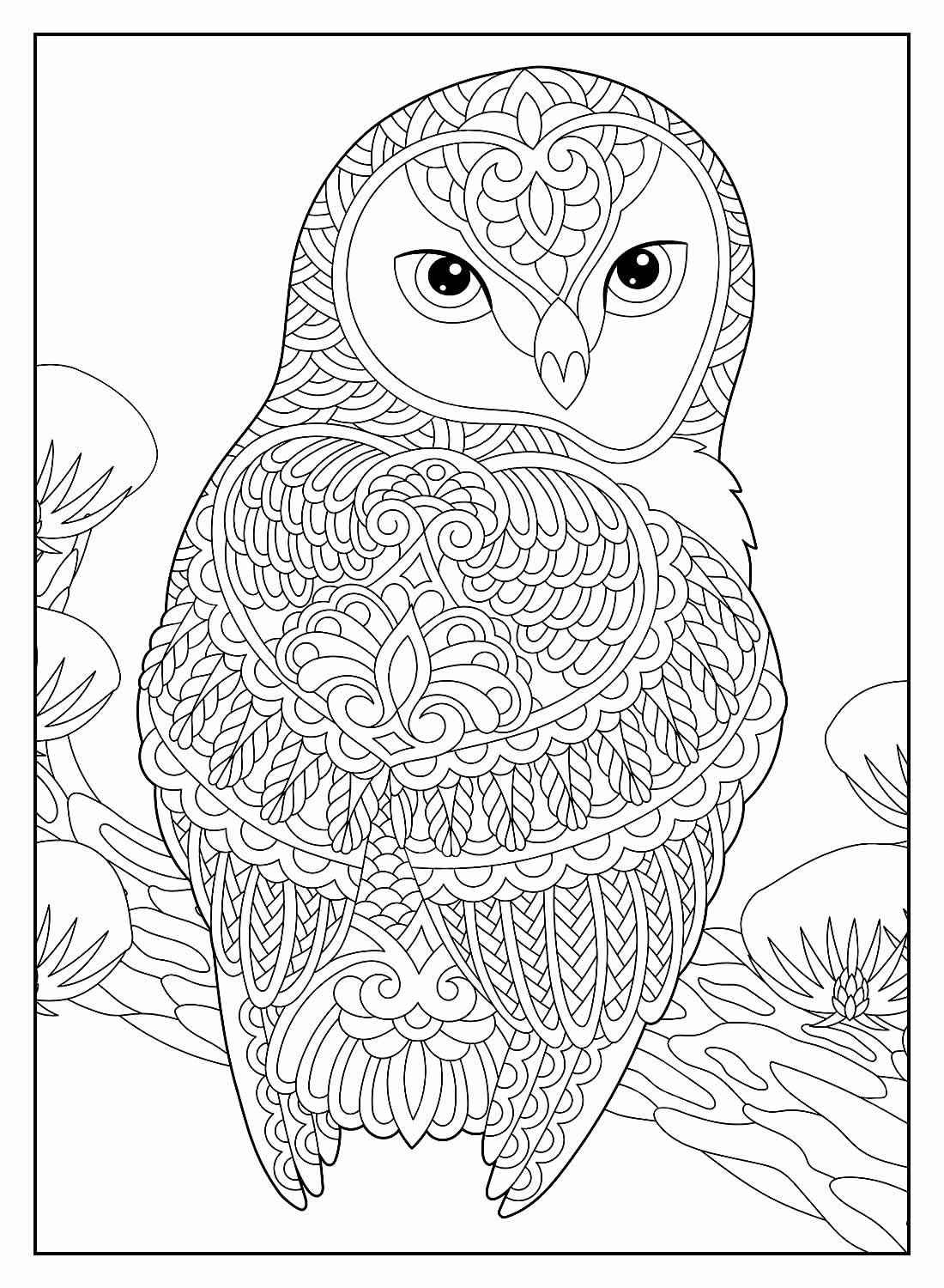 Eulen Ausmalbilder 553