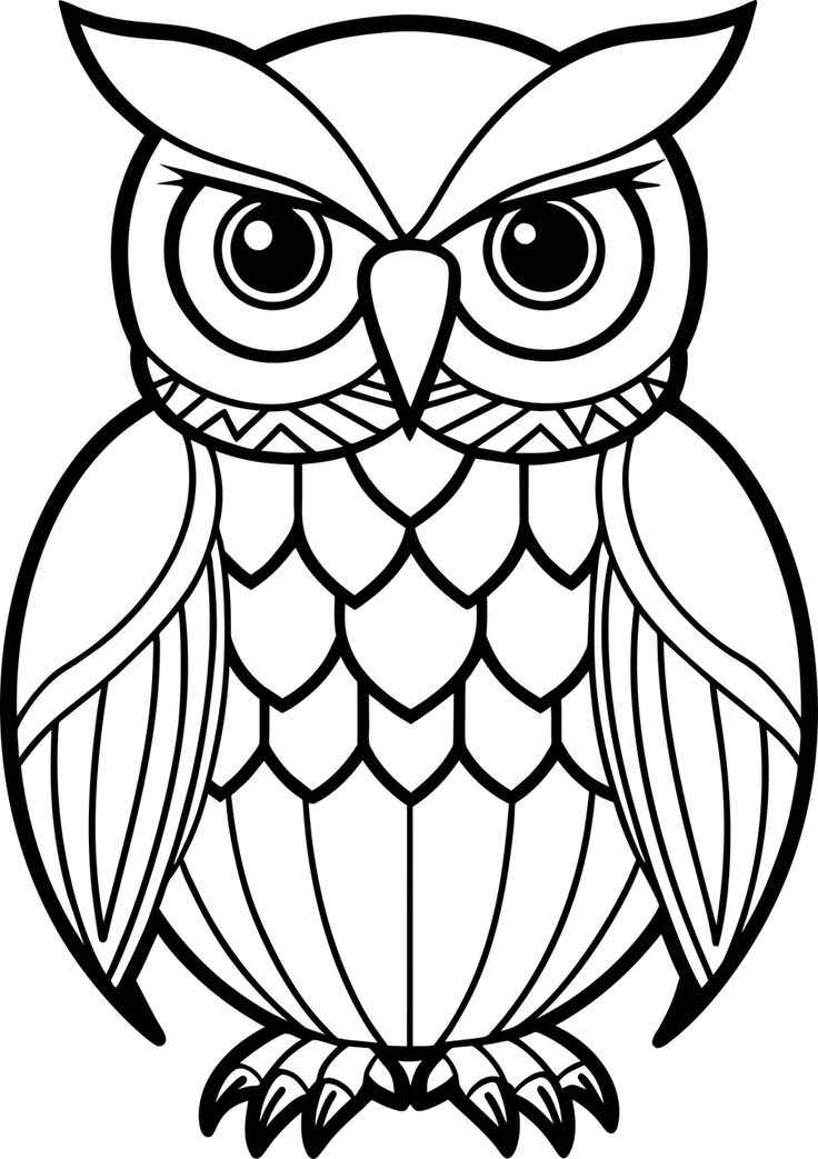 Eulen Ausmalbilder 760