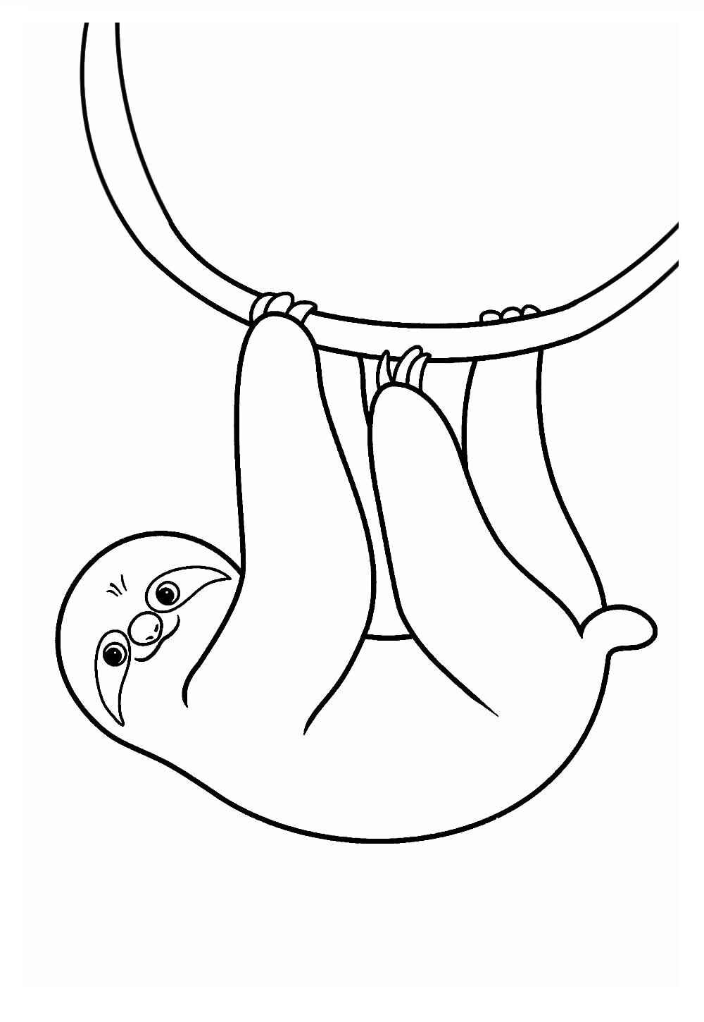 Faultier Ausmalbilder 129