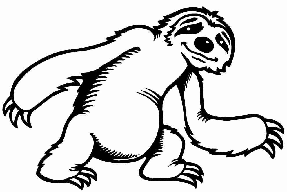 Faultier Ausmalbilder 373