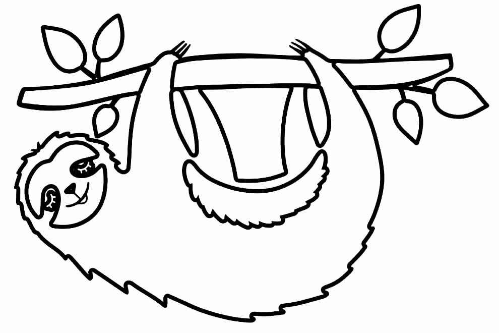 Faultier Ausmalbilder 890