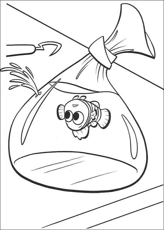 Findet Nemo Ausmalbilder 929