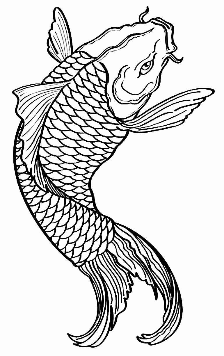 Fisch Ausmalbilder 024