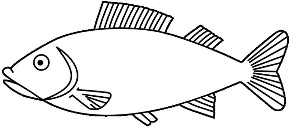 Fisch Ausmalbilder 048