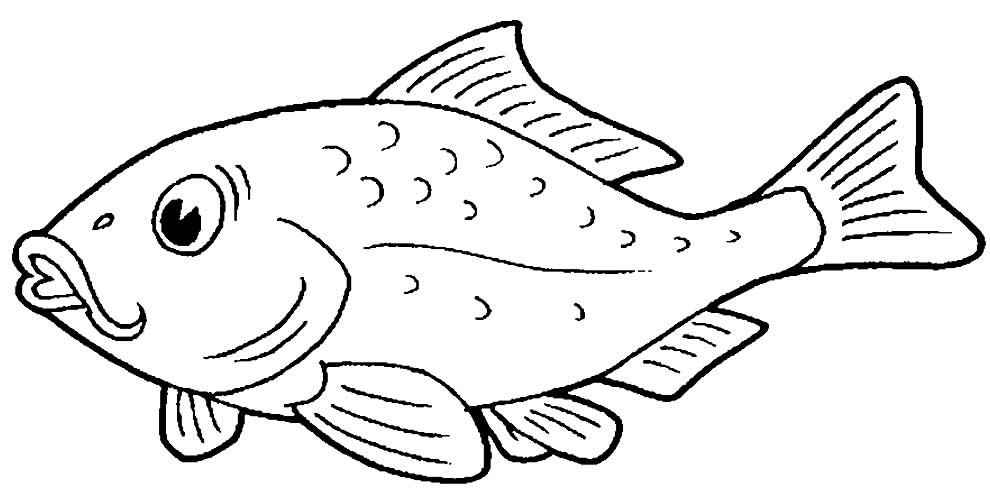 Fisch Ausmalbilder 076