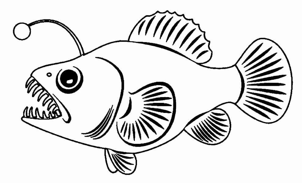 Fisch Ausmalbilder 188
