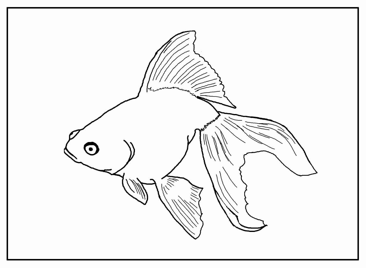 Fisch Ausmalbilder 226