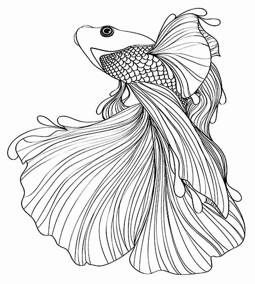 Fisch Ausmalbilder 620