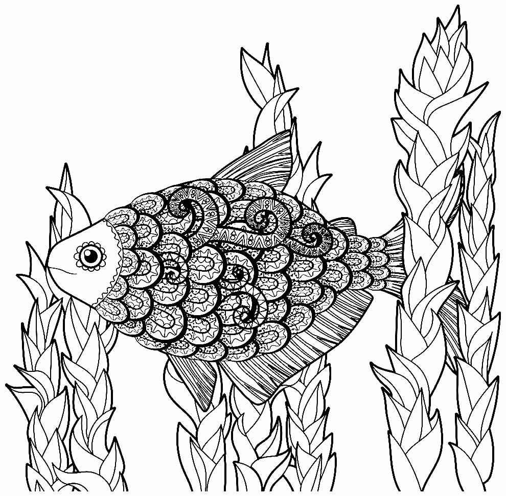 Fisch Ausmalbilder 887
