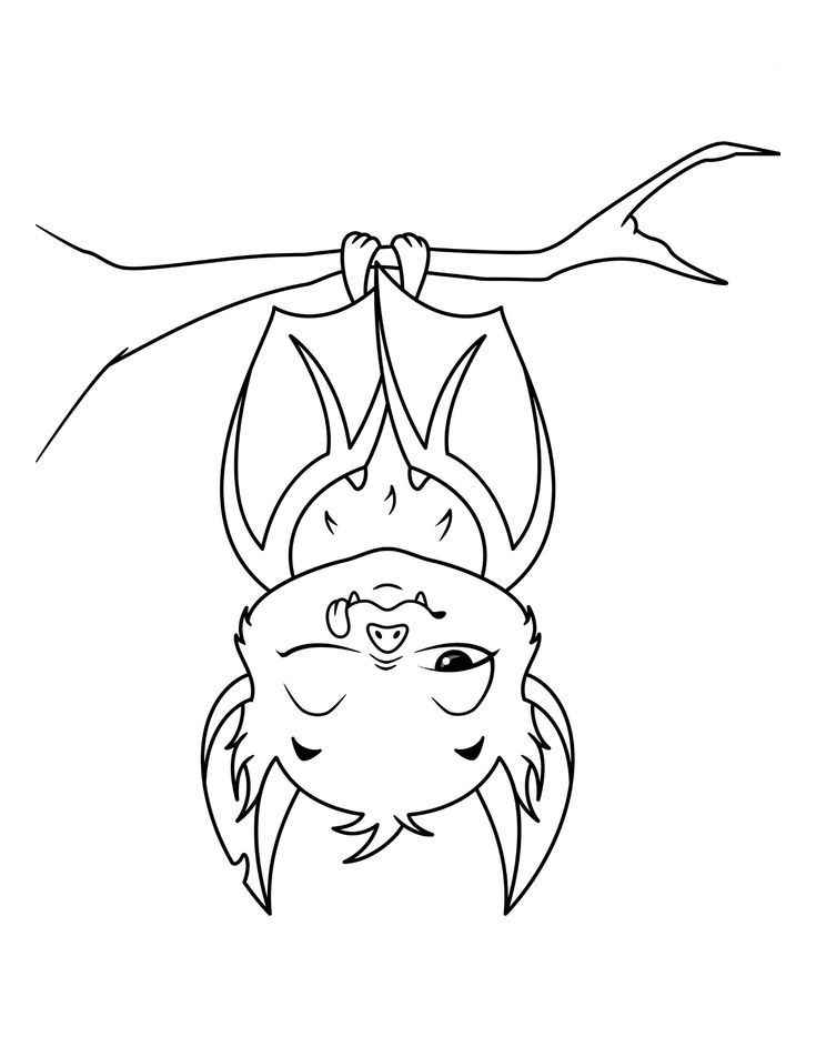 Fledermaus Ausmalbilder 431