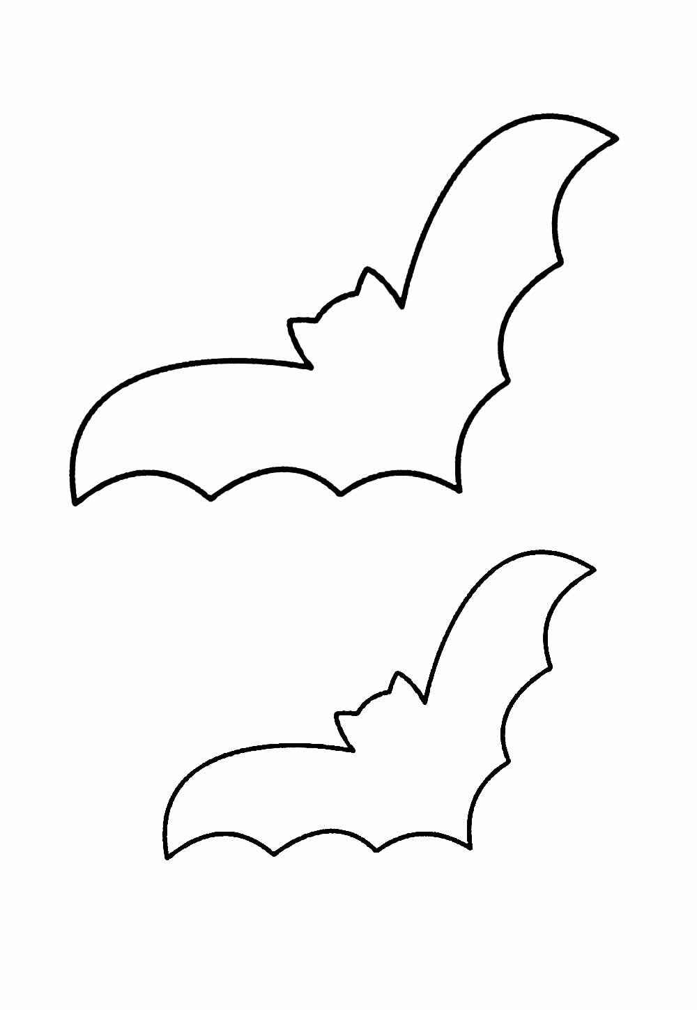 Fledermaus Ausmalbilder 646