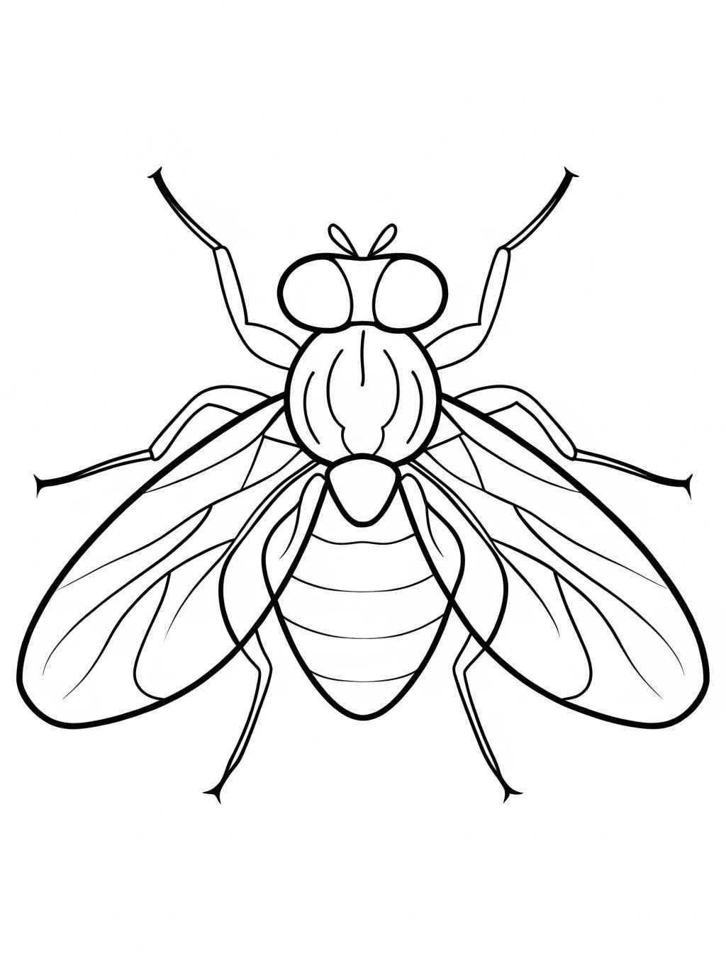 Fliege Ausmalbilder 528