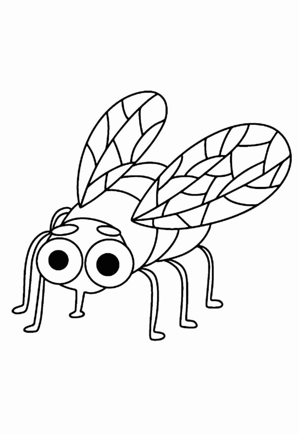 Fliege Ausmalbilder 749