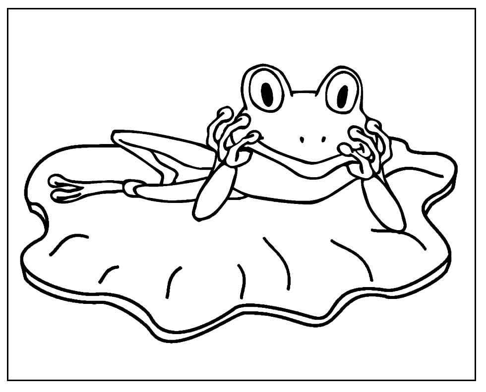 Frösche Ausmalbilder 455