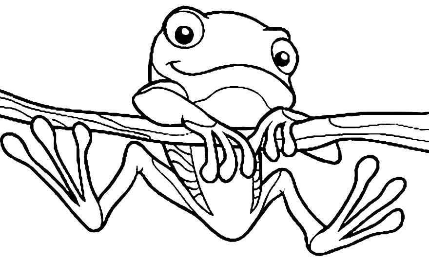 Frösche Ausmalbilder 548