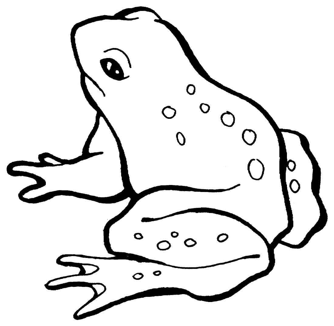 Frösche Ausmalbilder 656