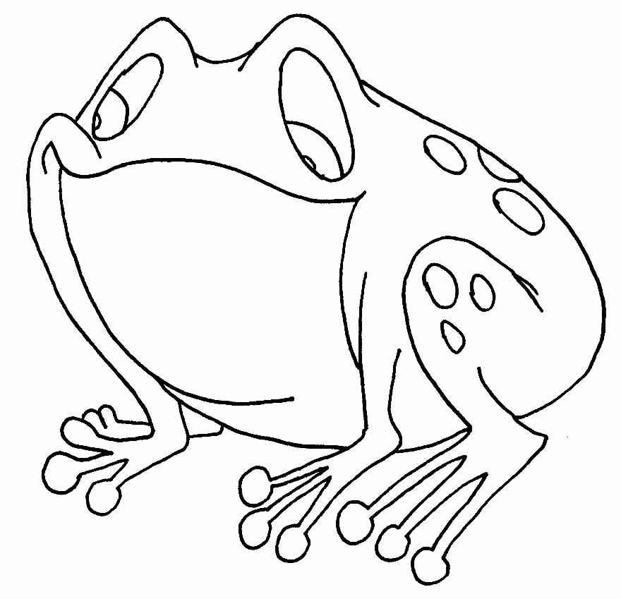 Frösche Ausmalbilder 701