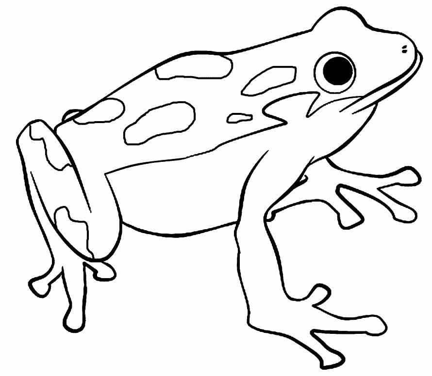 Frösche Ausmalbilder 712