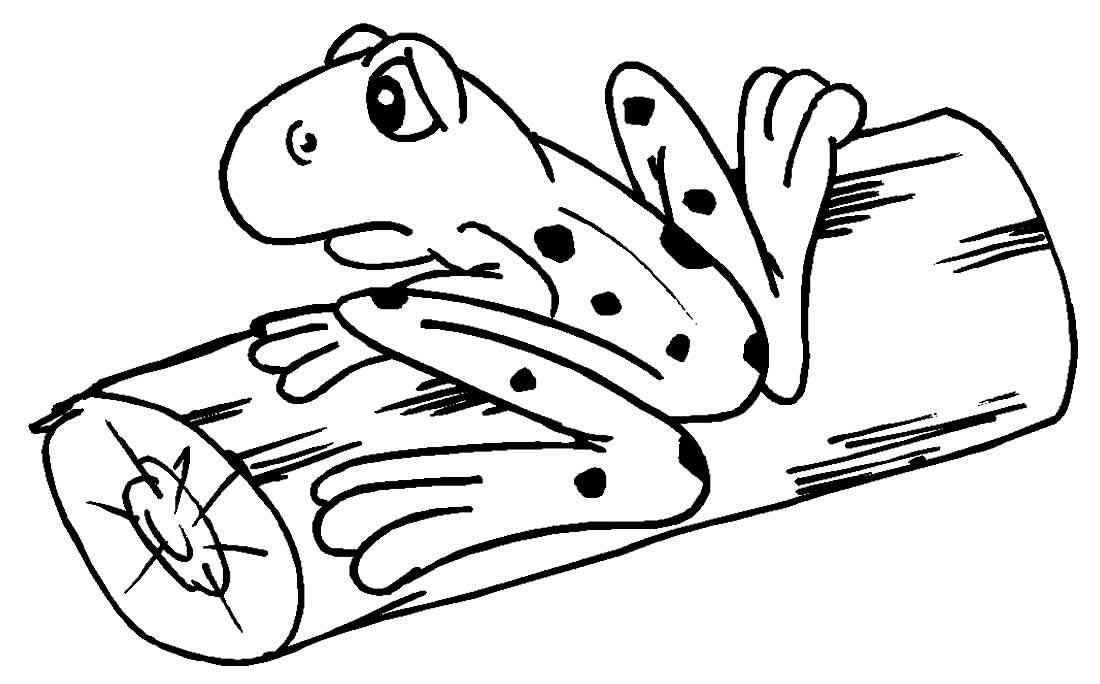 Frösche Ausmalbilder 723