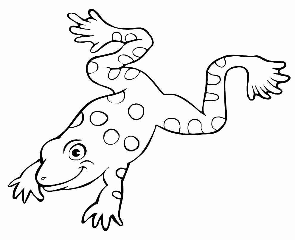 Frösche Ausmalbilder 732